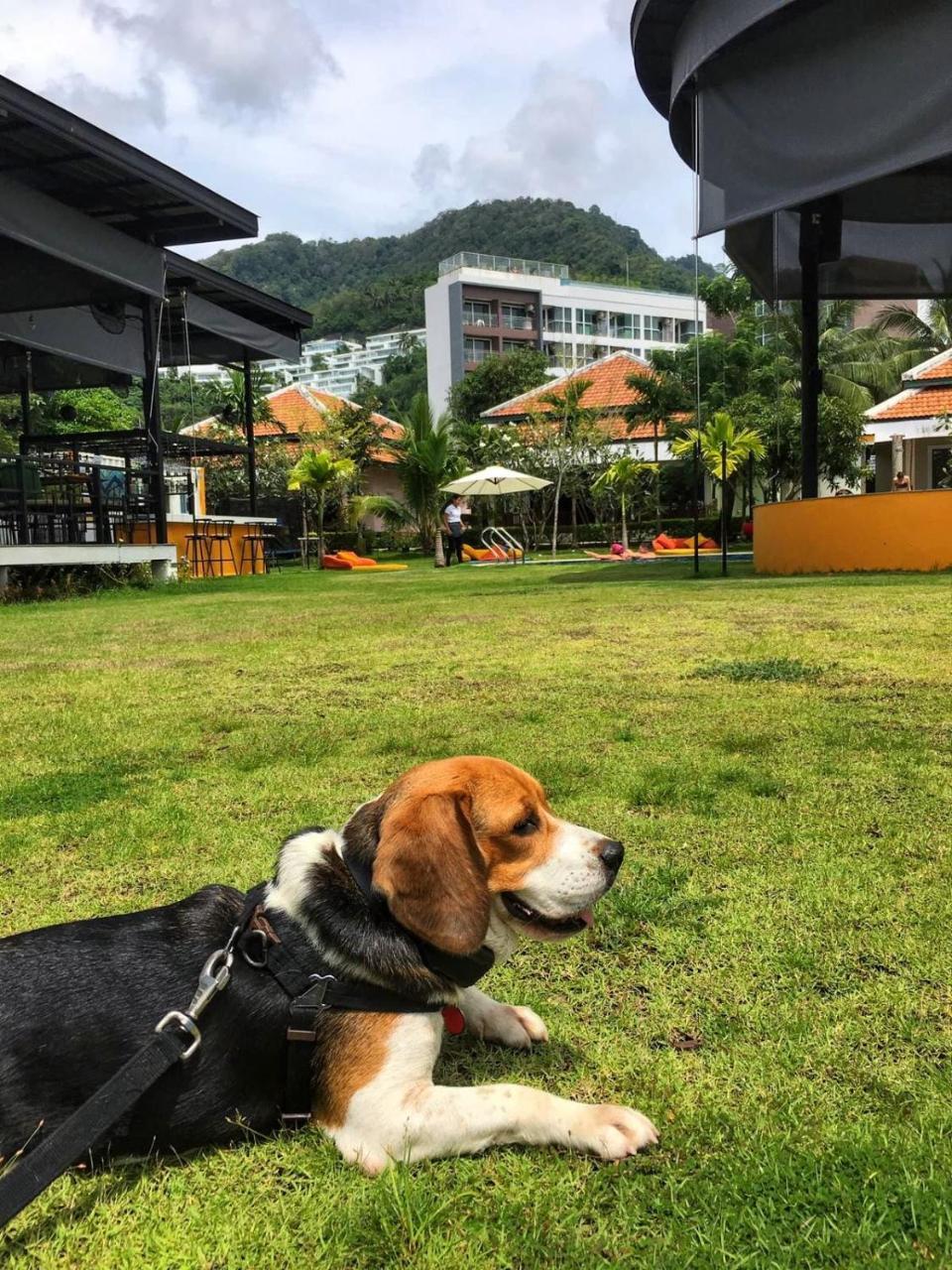 Jazz U Garden Resort Kata Beach  Exterior foto